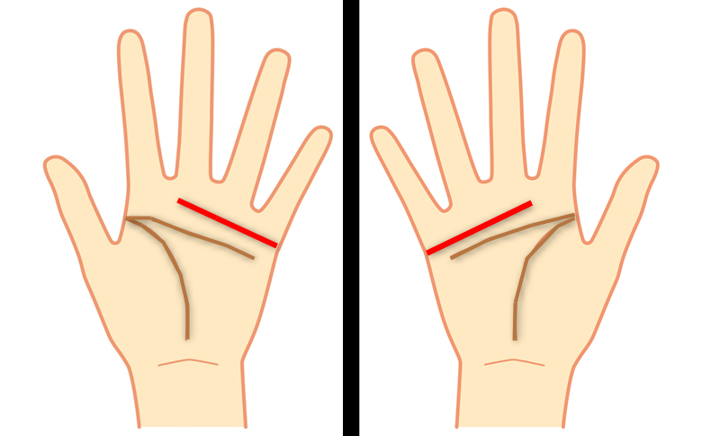 手相占い 感情線の種類 全18種 と意味 Mishelly Town ミシェリータウン